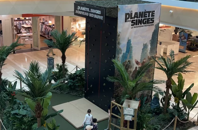 Animation mur d'escalade