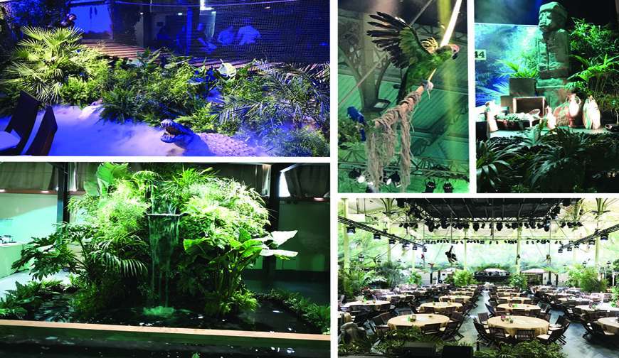 Une belle année pour Oxymoron !