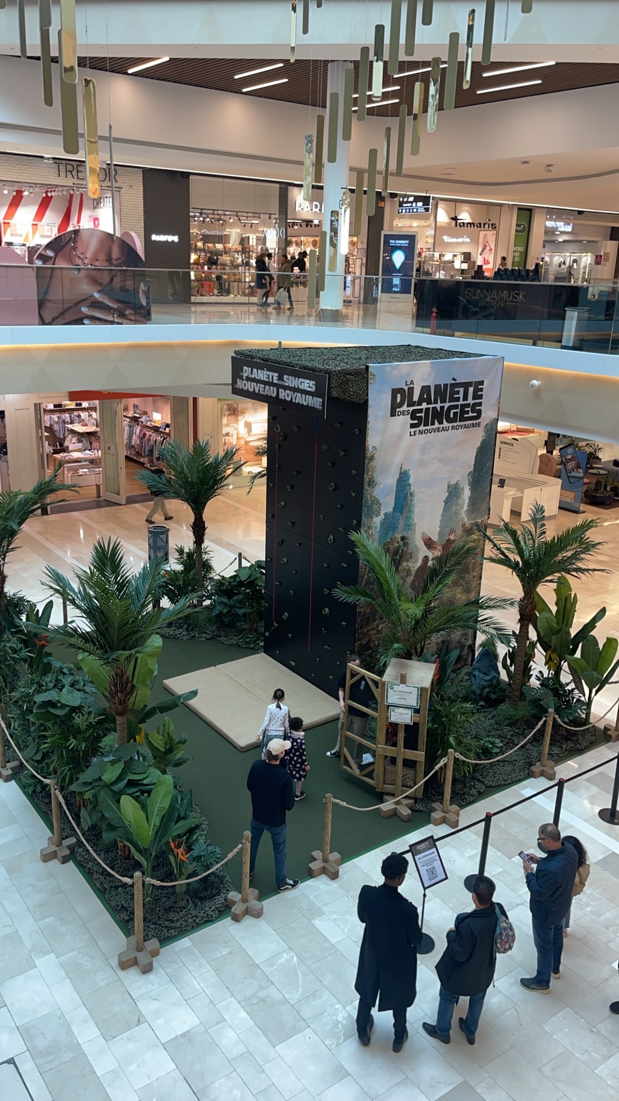 Animation mur d'escalade