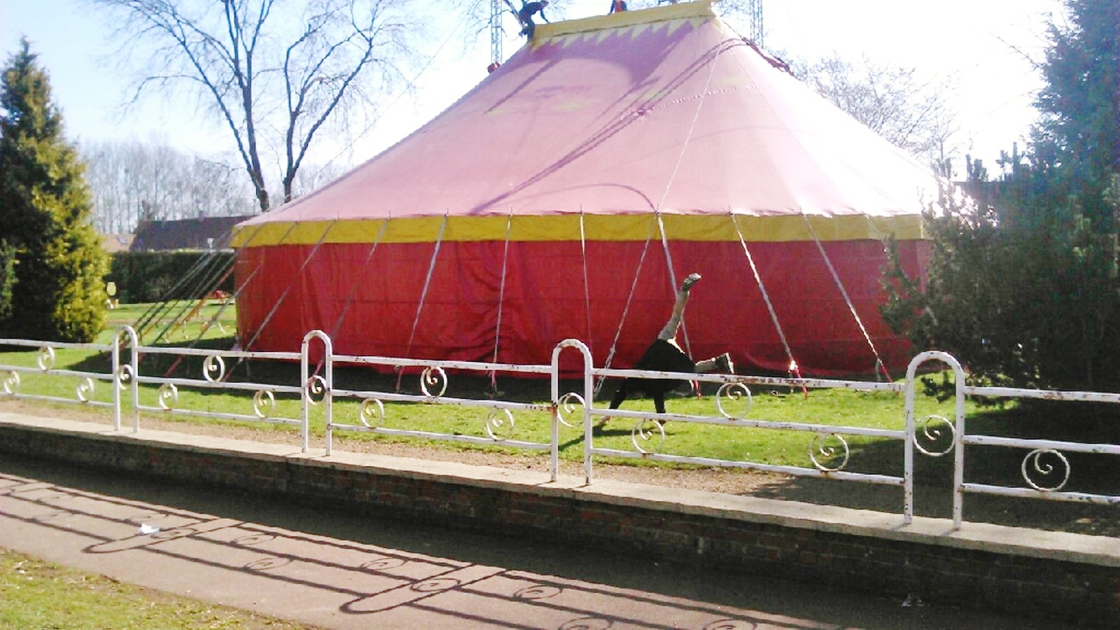 Location de chapiteau de cirque