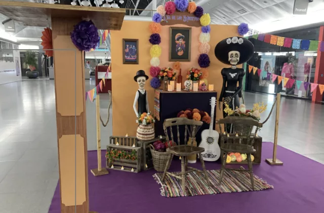 Location de décors Dia de los muertos