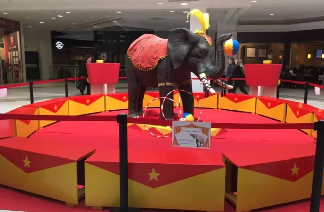 Décoration événementielle Cirque