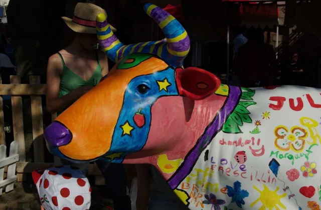 Animation peinture sur animaux