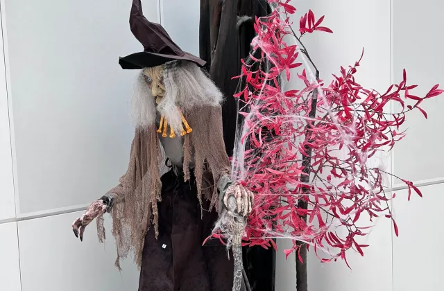 Location de décors sur la thématique Halloween