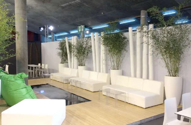 Location Décoration Evénementielle : Location Plantes Naturelles, Décoration Végétale