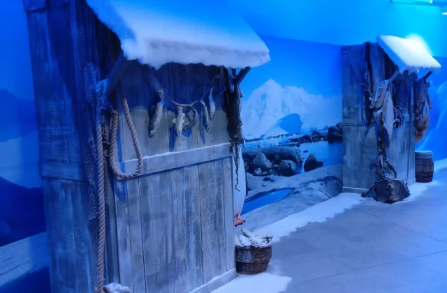 Location de décors Banquise