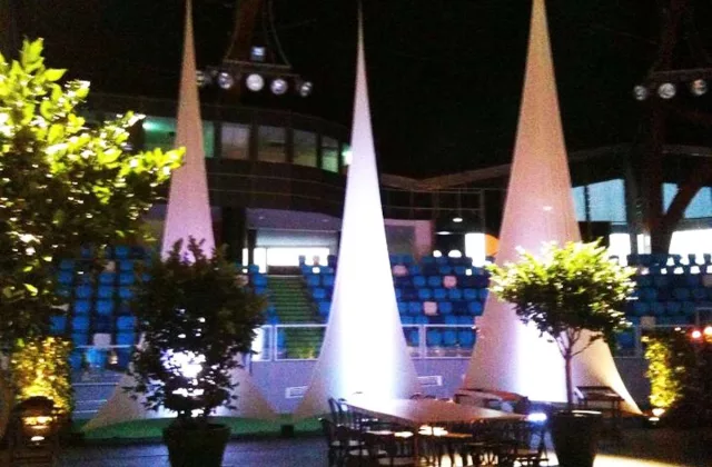 Location Décoration Evénementielle : Location Grandes Plantes et Arbustes - Décoration Végétale